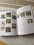 Review Image by AshBrown