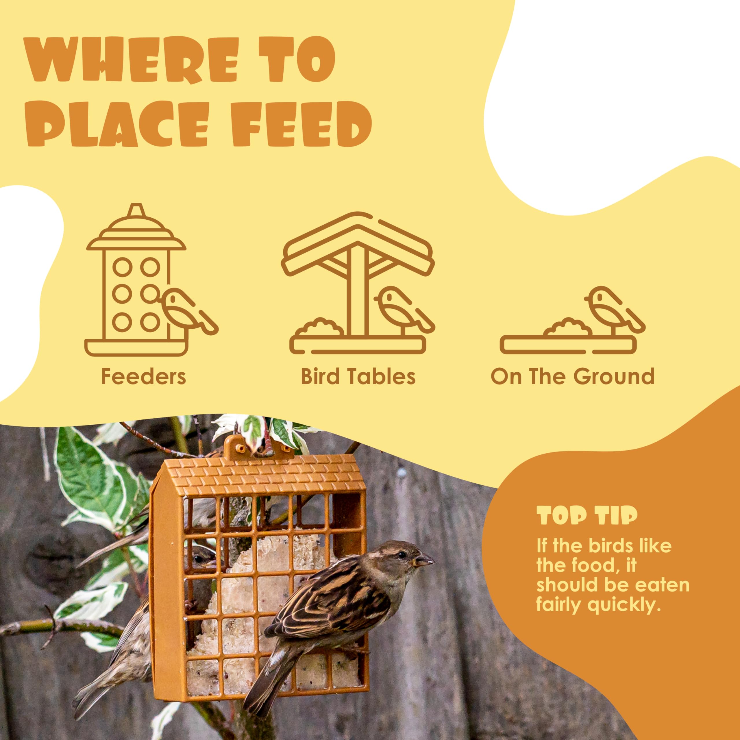 Suet Shop - Mealworm Suet Blocks for Wild Birds, 300g (Pack of 10) - Enriched with Human Grade Beef Tallow, High in Energy & Protein - All-Season Bird Feed - Manufactured In The UK — view 5