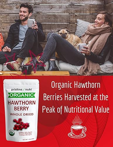 Miniatura 4 de 1.5 libras (24 onzas) Bayas de Espino 100% Orgánicas Secas a Granel  Prepara Té de Bayas de Espino  Bayas Silvestres Europeas Recolectadas  Prepara