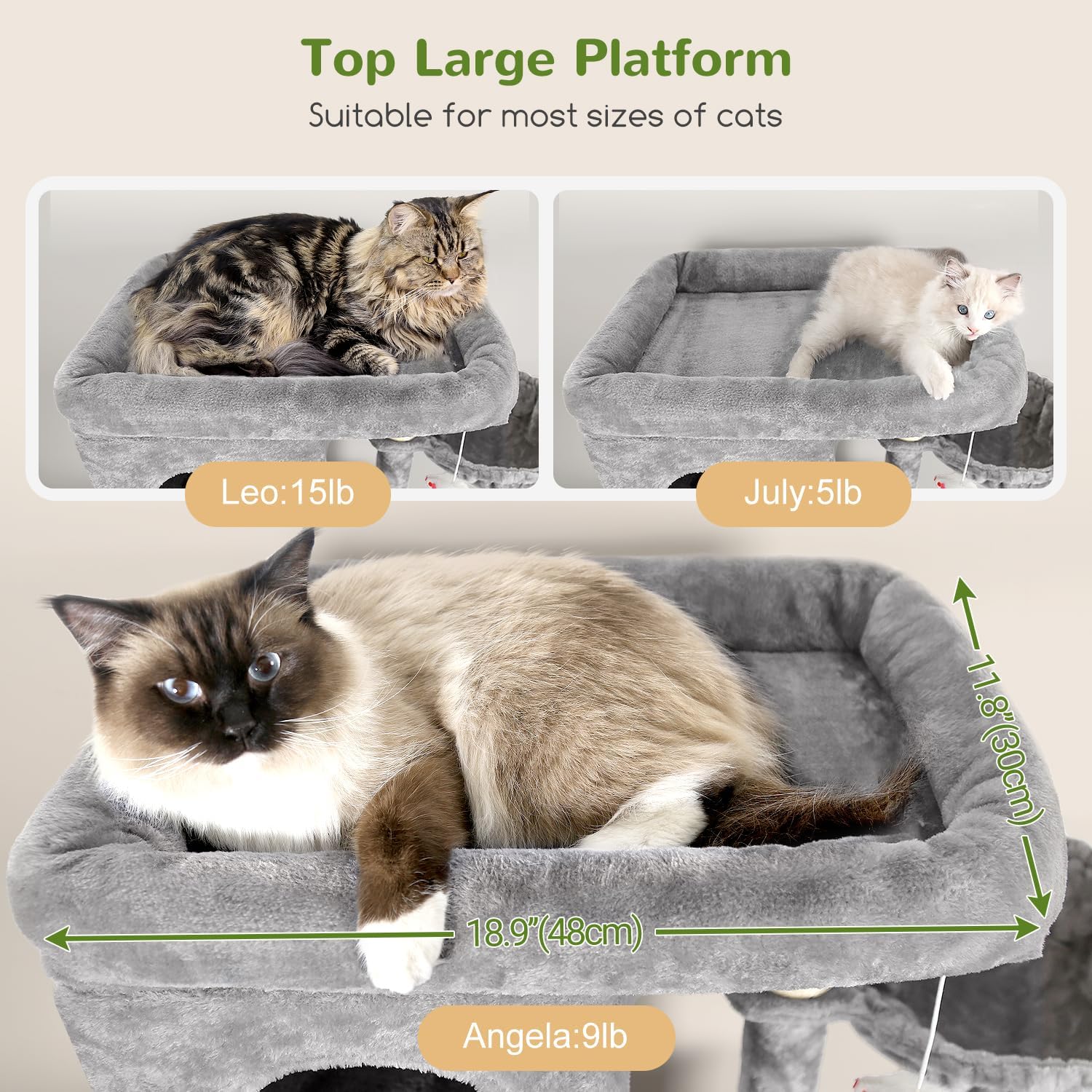 Best Corner Cat Tree for Multiple Cats - Honest Review 2 81dUStGFC8L. AC SL1500