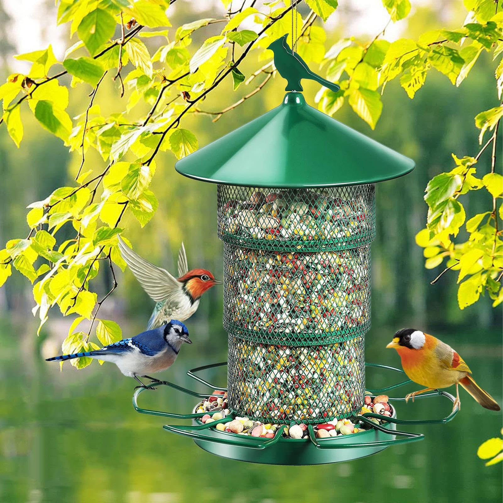 Mangiatoie Per Uccelli Da Esterno Antiscoiattolo a 3 Sostituibili | Mangiatoia Corvi da Esterno a Prova di Scoiattoli Per Fringuelli Corvi Donne Mamma Cortile Finestra Giardino Terrazza