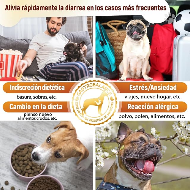 Foto 6 de 8 de GastroBalance Alivio Perros diarrea acción rápida - Tratamiento diarrea Perros pequeños < 10 kg (ESPAÑOL)