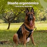 Ver la foto 5