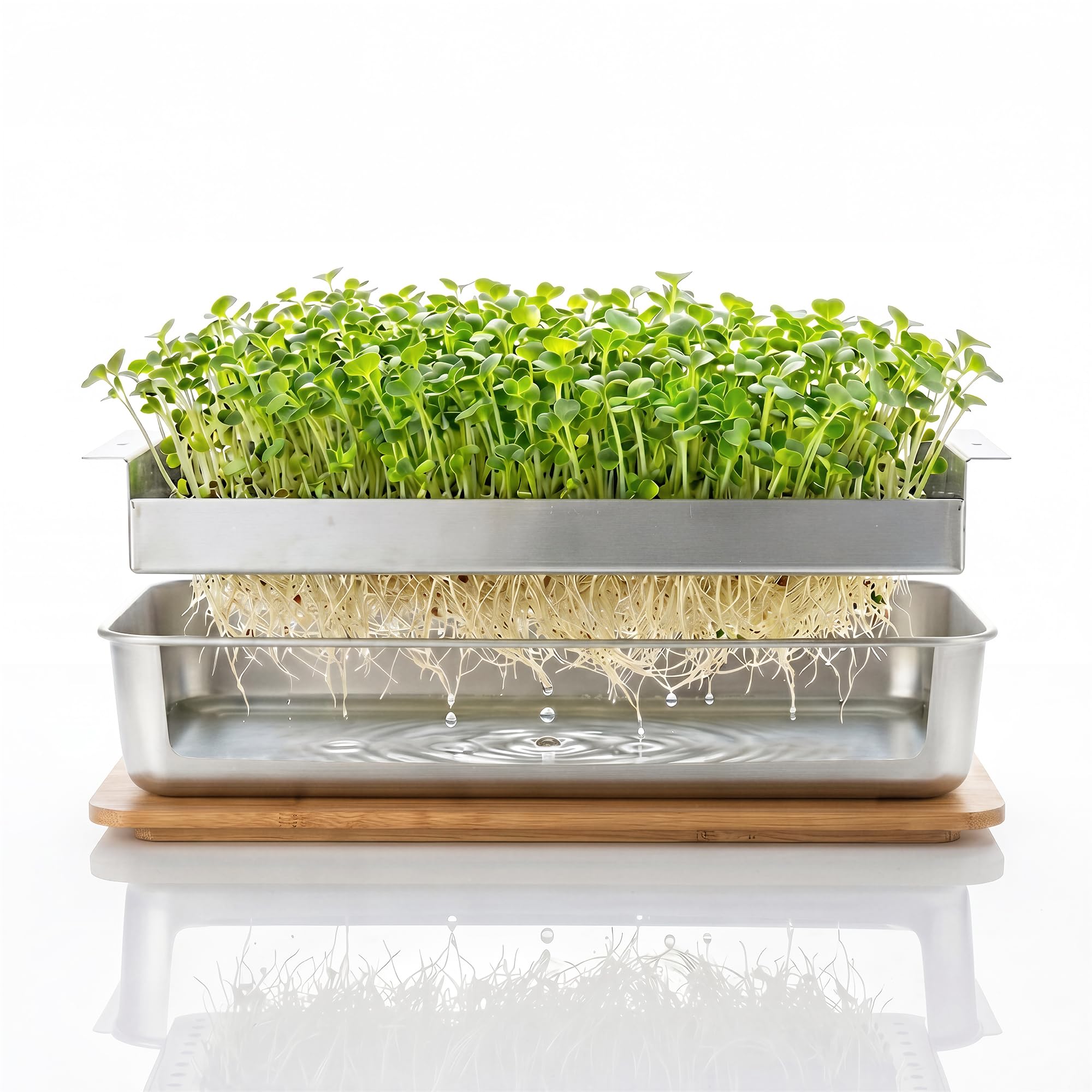 Lornpexia Microgreens Growing Kit – Stackable Stainless Steel Sprouting Tray with Wood Lid, Sprouts Growing Kit for Indoor Gardening in Small Spaces, Kitchen, or Windowsill – No Seeds Included