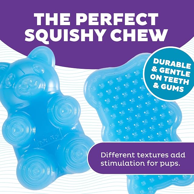 Foto 3 de 8 de Outward Hound Gummiez Bear - Juguete masticable 2 en 1 para Perros, Color Azul