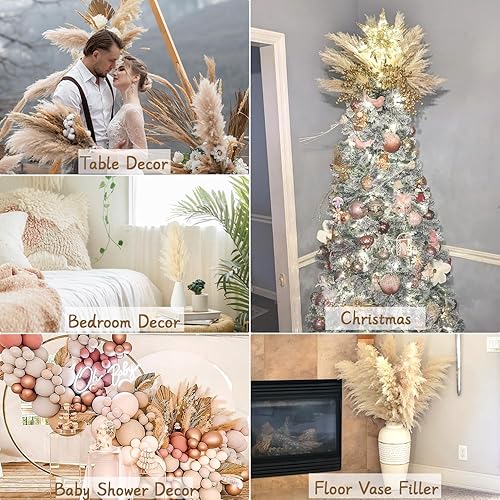 Miniatura 4 de 10 tallos de hierba de las pampas beige, hierba de pompas seca natural, colas de conejo, flores secas esponjosas a granel para bodas, fiestas, casa