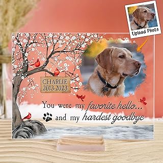 Macorner Personalized Acrylic Photo Plaque - You Were My Favorite Hello And My Hardest Goodbye