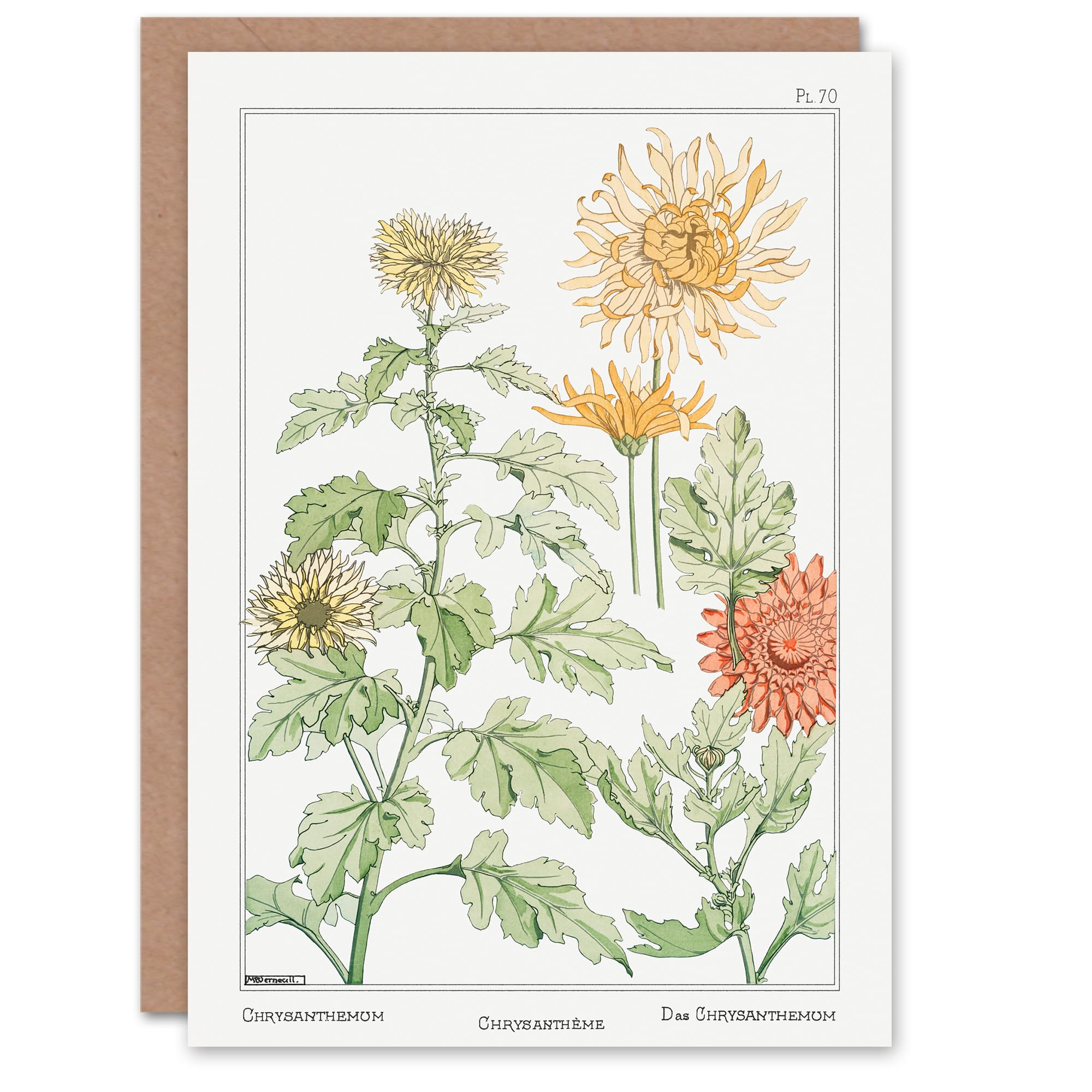 Artery8 Maurice Pillard Verneuil Art Card Chrysanthemum Flower