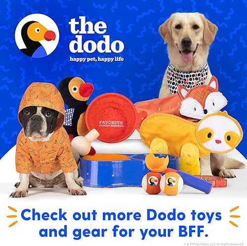 Miniatura 7 de The Dodo Collar de corcho para perro, rayas, talla pequeña collar de material de corcho para perros, ropa diaria de mascotas ajustable a presión,