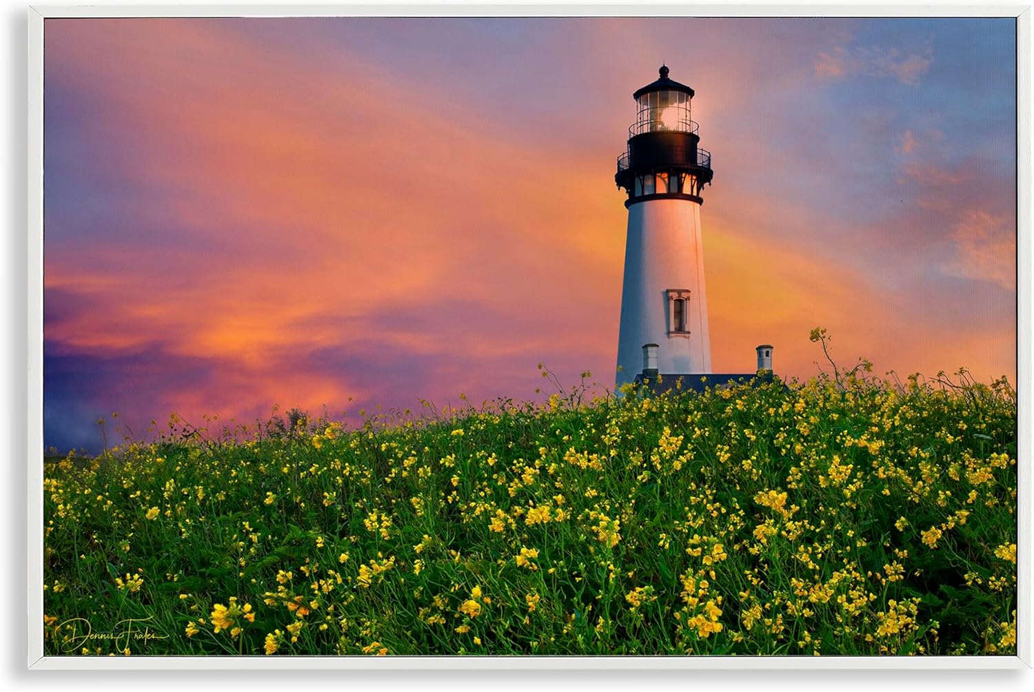 Stupell Industries Lighthouse & Floral Meadow Framed Giclee Art Design by Dennis Frates