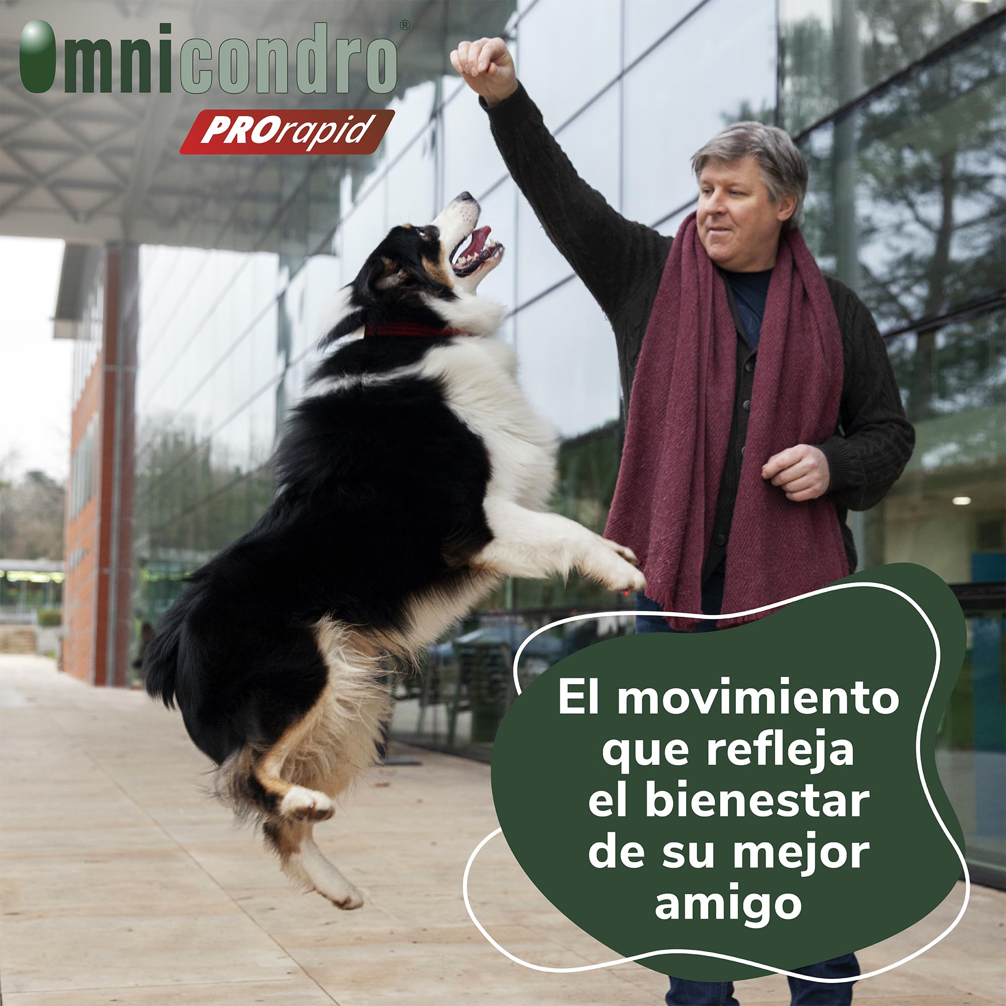 Omnicondro PROrapid Hifarmax - Condroprotector Perros con Vitaminas | Pastillas para Articulaciones Perros | Condroprotector con Colágeno | Caja de 60 Pastillas