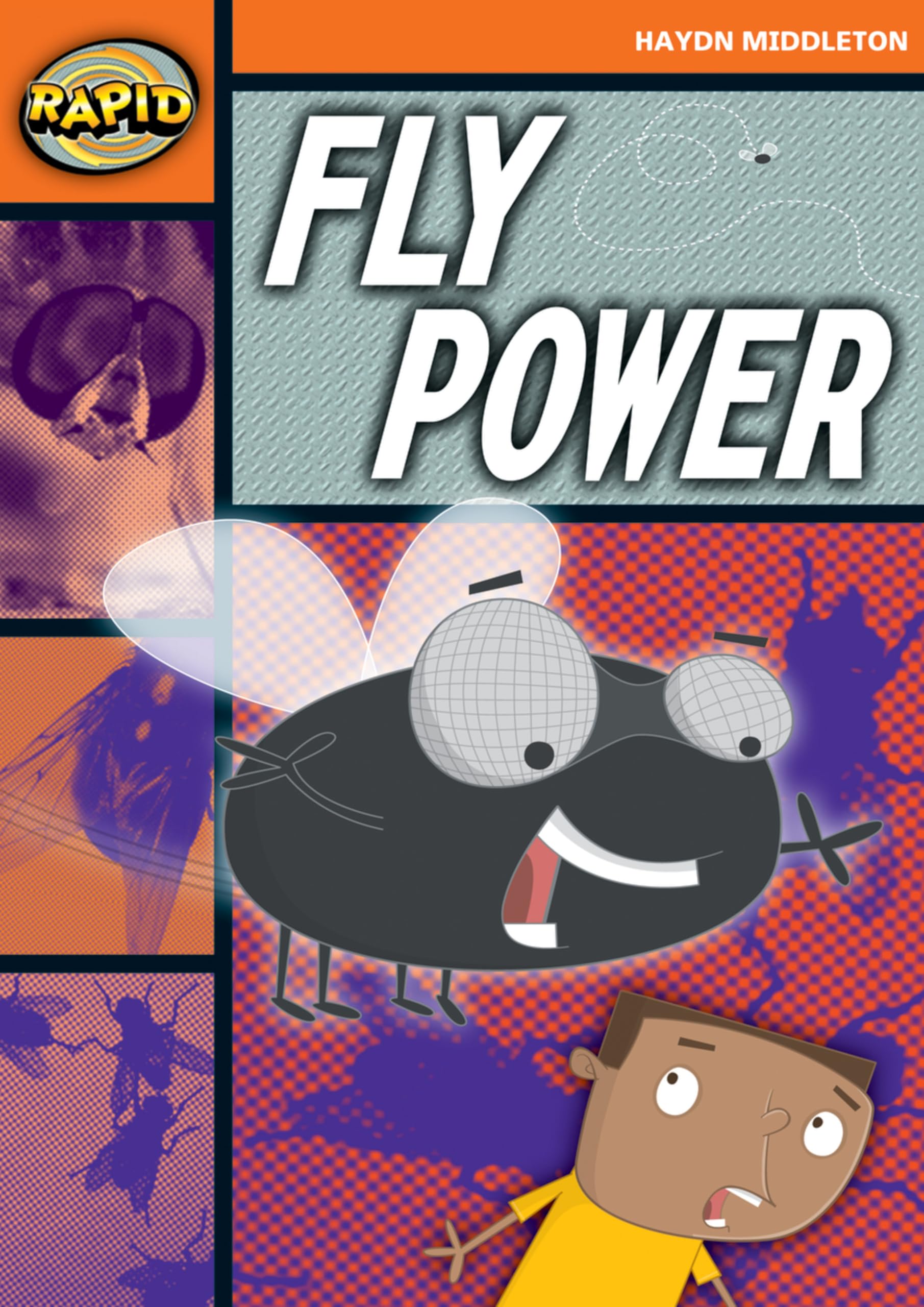Rapid Reading: Fly Power (Stage 4, Level 4B): Stage 4 (Rapid)