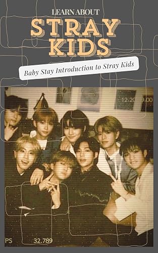 LEARN ABOUT STRAY KIDS: Baby Stays Introduction to Stray Kids