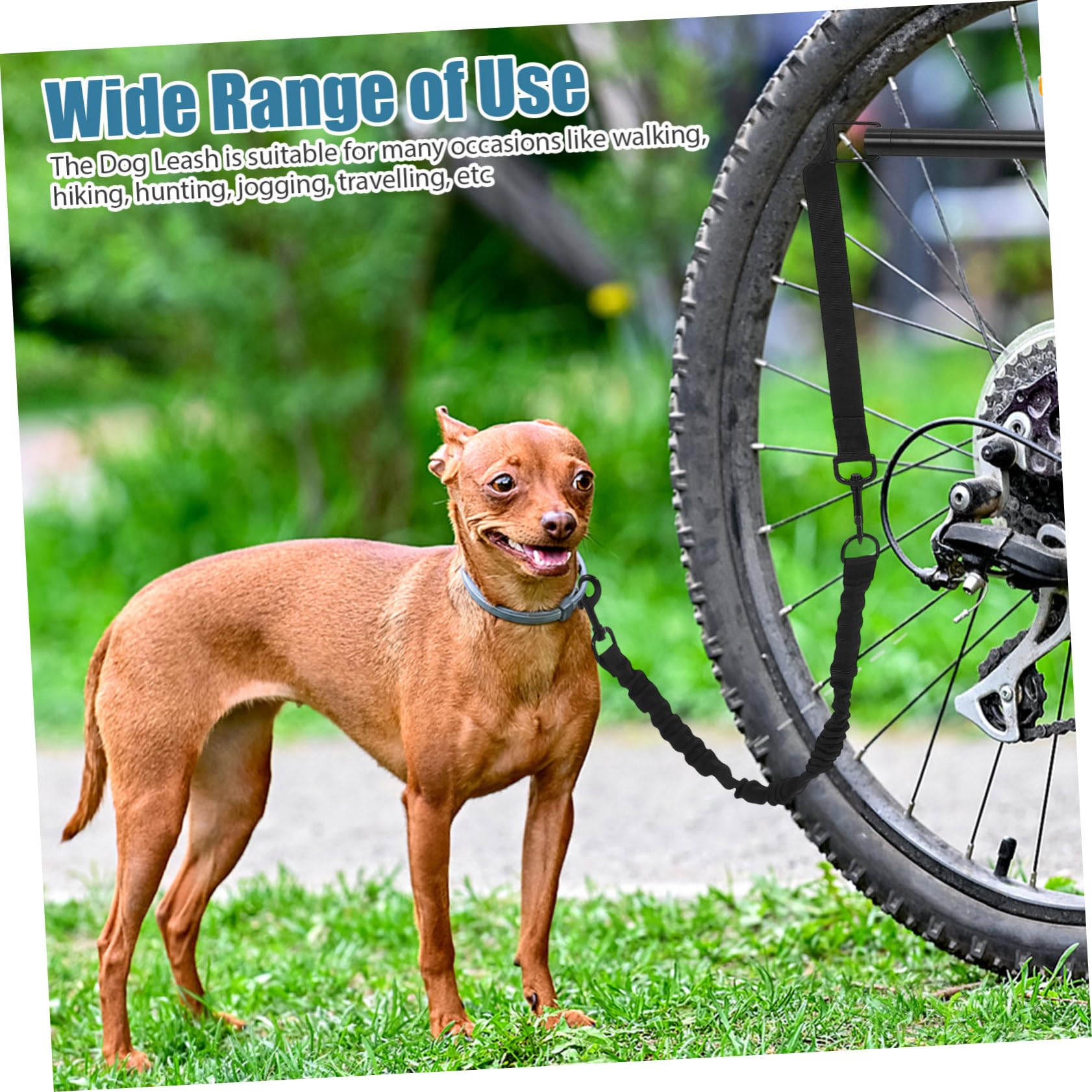 POPETPOP Guinzaglio per Cani da Bicicletta Nero Oxford Lega, Design Ergonomico e Allunga Area Attività, per Cani Piccoli e Medi in Attività Outdoor