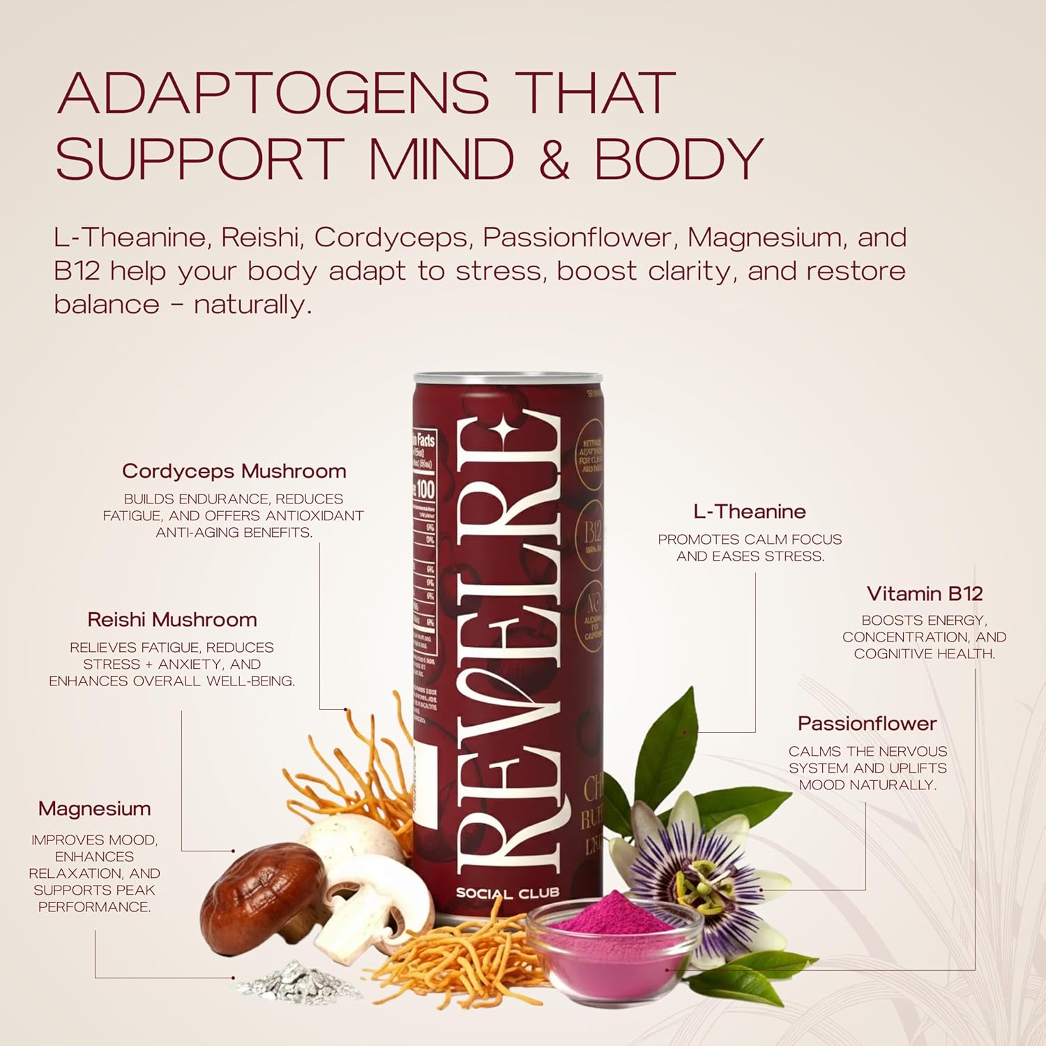 Revelre - Non-Alcoholic Mocktails with Adaptogens & Ketones, Clean Energy, Focus and Calming Ingredients - Magnesium, B12, Reishi & Cordyceps Mushrooms - Cherry Limeade, 12 oz (8 Pack)