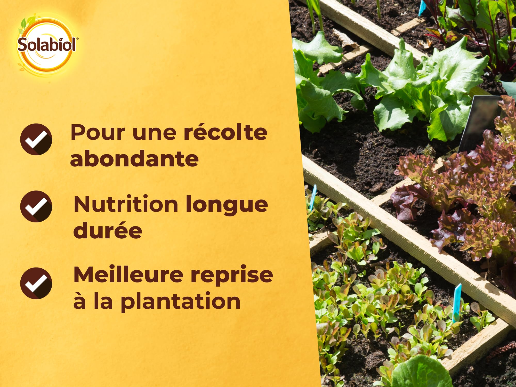SOLABIOL Engrais Potager - 5Kg - Jusqu'à 100m² - Nutrition Longue Durée - Efficace Pour Tous Les Légumes - Bonifie Le Sol - Utilisable En Agriculture Biologique SOPOTY5B