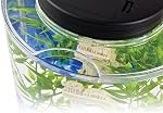 Tetra Betta Fish Aquarium Kit, 1.1 Gallon Half Moon Curved Fish Tank, 4.6 x 9.1 x 9.9 Inches