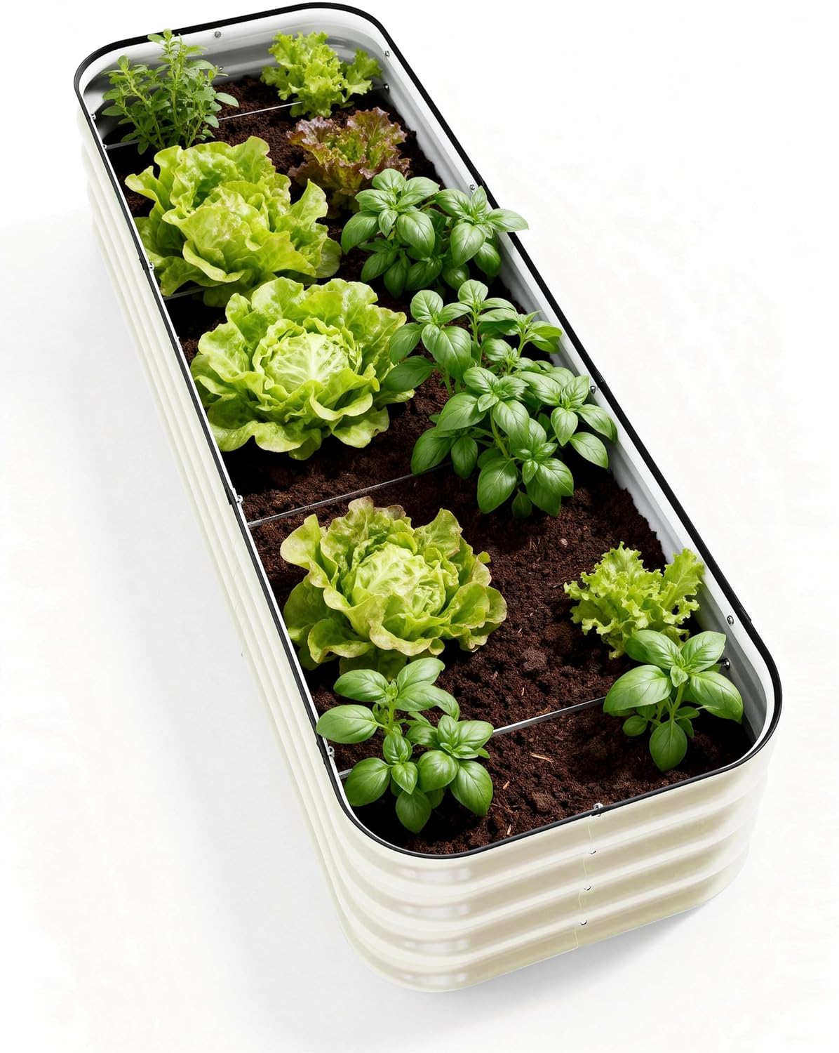 DaisyVibe Raised Garden Bed Kit, Planter Raised Garden Boxes Outdoor, Oval Large Metal Raised Garden Beds for Vegetables Flowers (Green, 6.5ftx2ftx1ft)