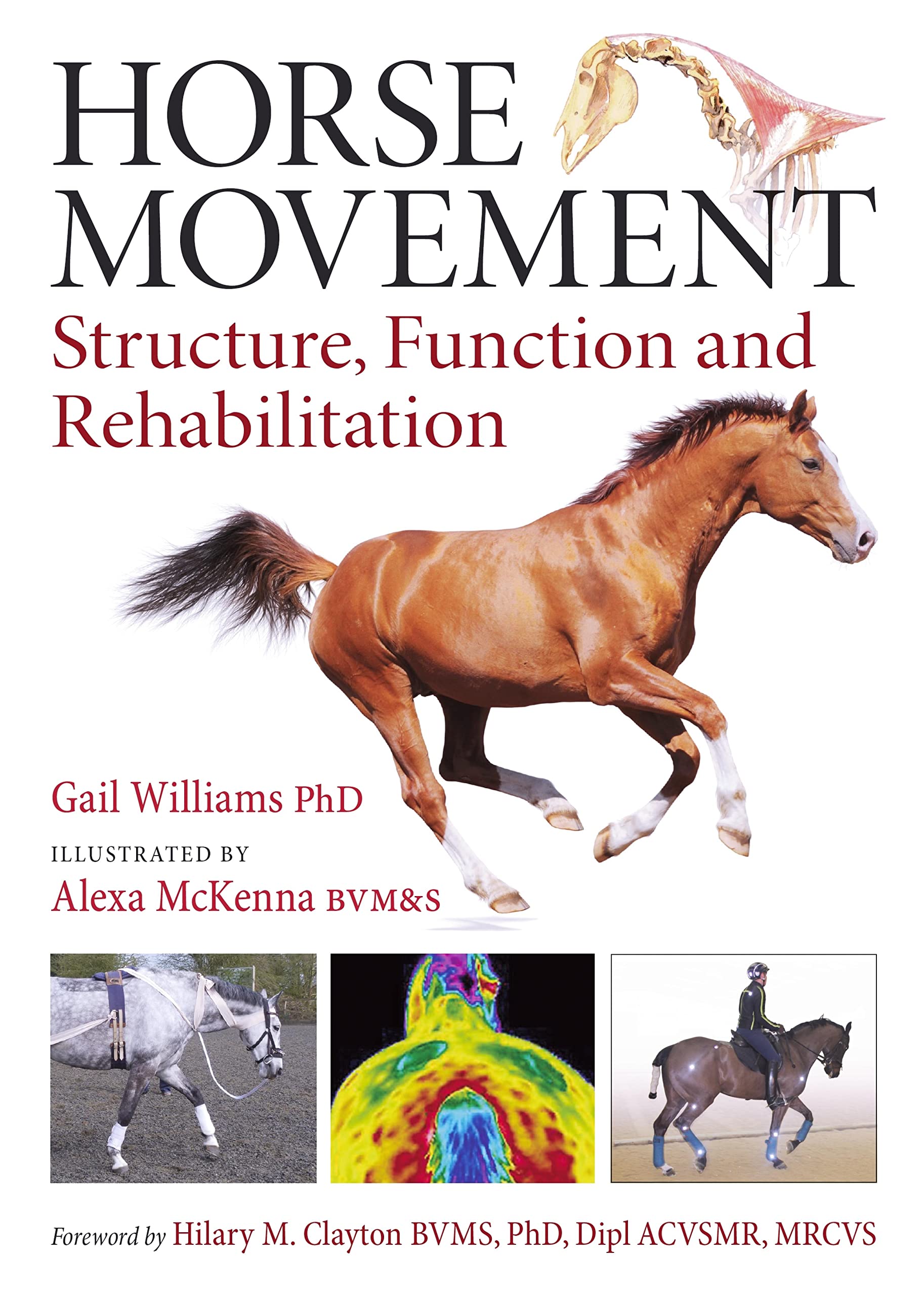 Horse Movement: Structure, Function and Rehabilitation (English Edition)