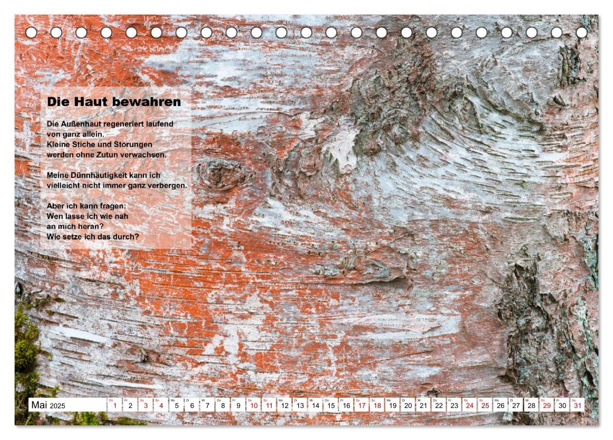 Stehen wie ein Baum (Tischkalender 2025 DIN A5 quer), CALVENDO Monatskalender: Bäume ermutigen zum aufrechten Stehen, zum Durchstehen von Situationen. (CALVENDO Glaube)