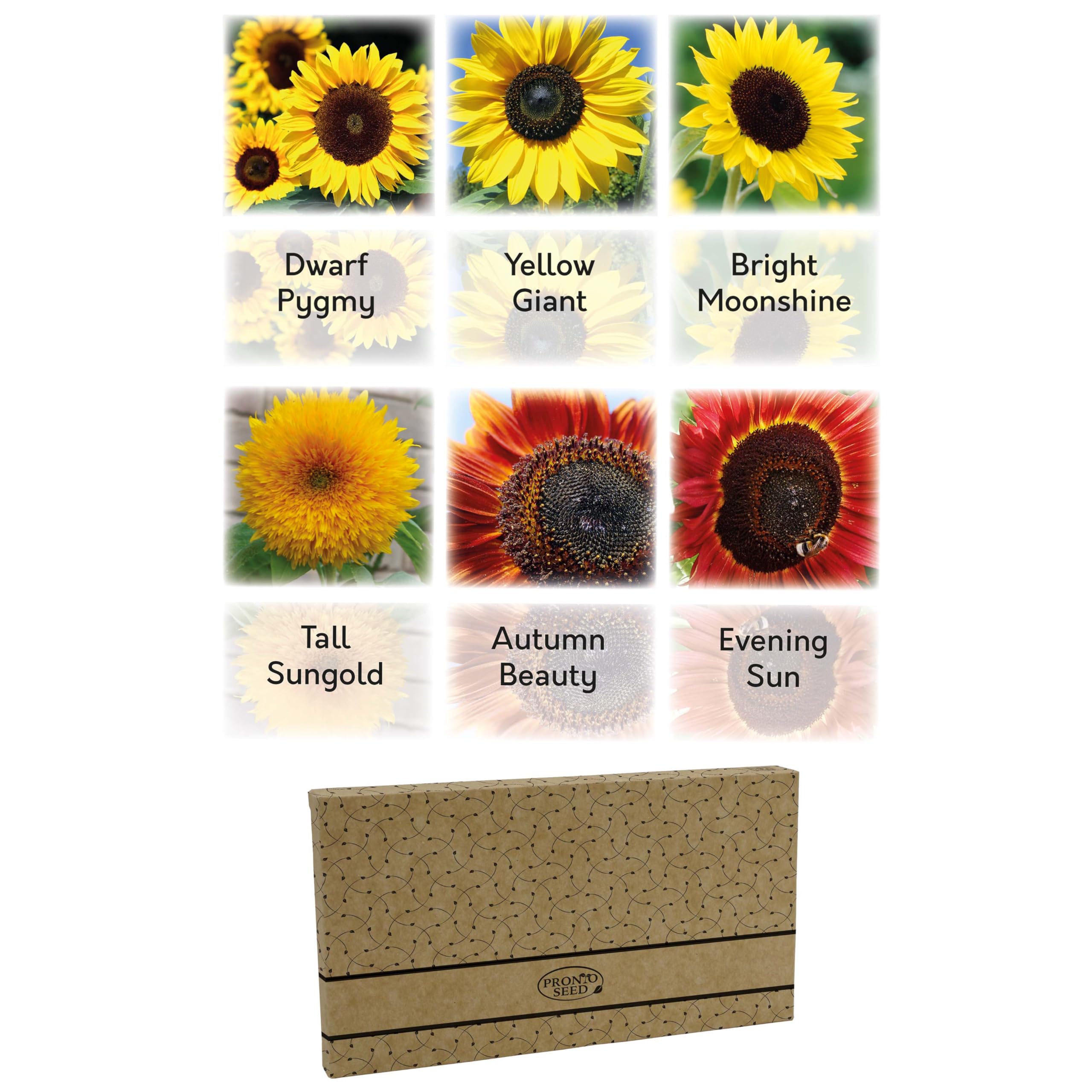 Pronto Seed Grow Your Own Vegetable & Herb Kit – 21 Varieties, 1700+ Seeds for Planting UK – Salad, Spicy, Peas & Beans Mix – Gardening Gifts for Men & Women with Growing Guide — view 11