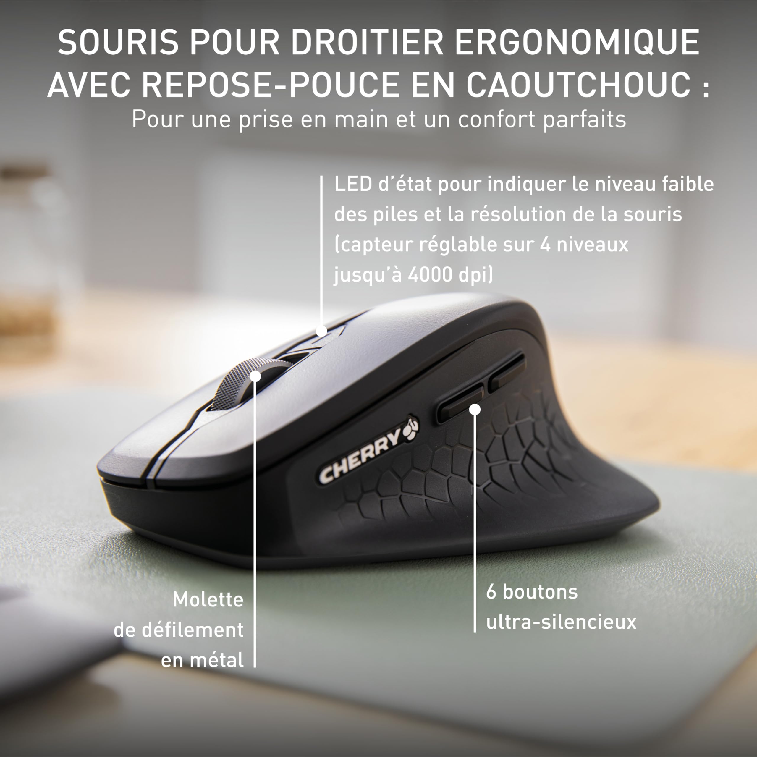 CHERRY STREAM DESKTOP COMFORT, Clavier et Souris Sans Fil, Disposition Française (AZERTY), 2,4 GHz, Touches Silencieuses, Souris Ergonomique, Noir