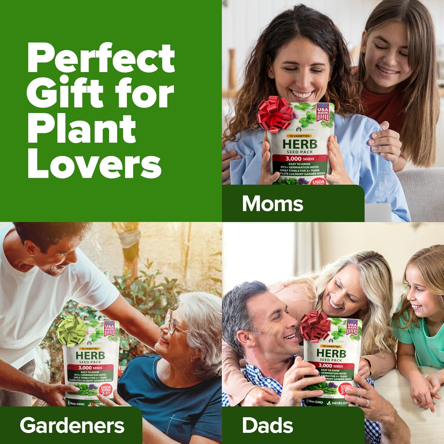 10 Culinary Herb Seed Vault - Heirloom and Non GMO - 3000+ Seeds for Planting for Outdoor or Indoor Herb Garden, Basil, Cilantro, Parsley, Chives, Thyme, Oregano, Dill, Marjoram, Mint, Tarragon - Image 9