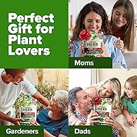 Vista 9 de Bóveda de 10 semillas de hierbas culinarias - Semillas criollas y sin transgénicos – Más de 3000 semillas para plantar en jardín de hierbas exterior