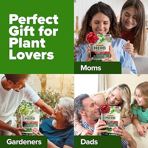 Miniatura 9 de Bóveda de 10 semillas de hierbas culinarias - Semillas criollas y sin transgénicos – Más de 3000 semillas para plantar en jardín de hierbas exterior