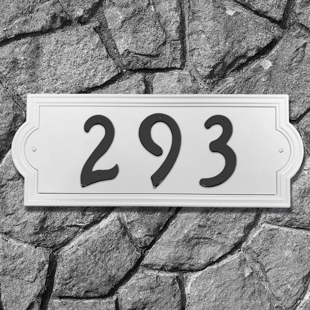 ナンジャモ SAR アクリルケース付き ナンジャモ SAR アクリルケース