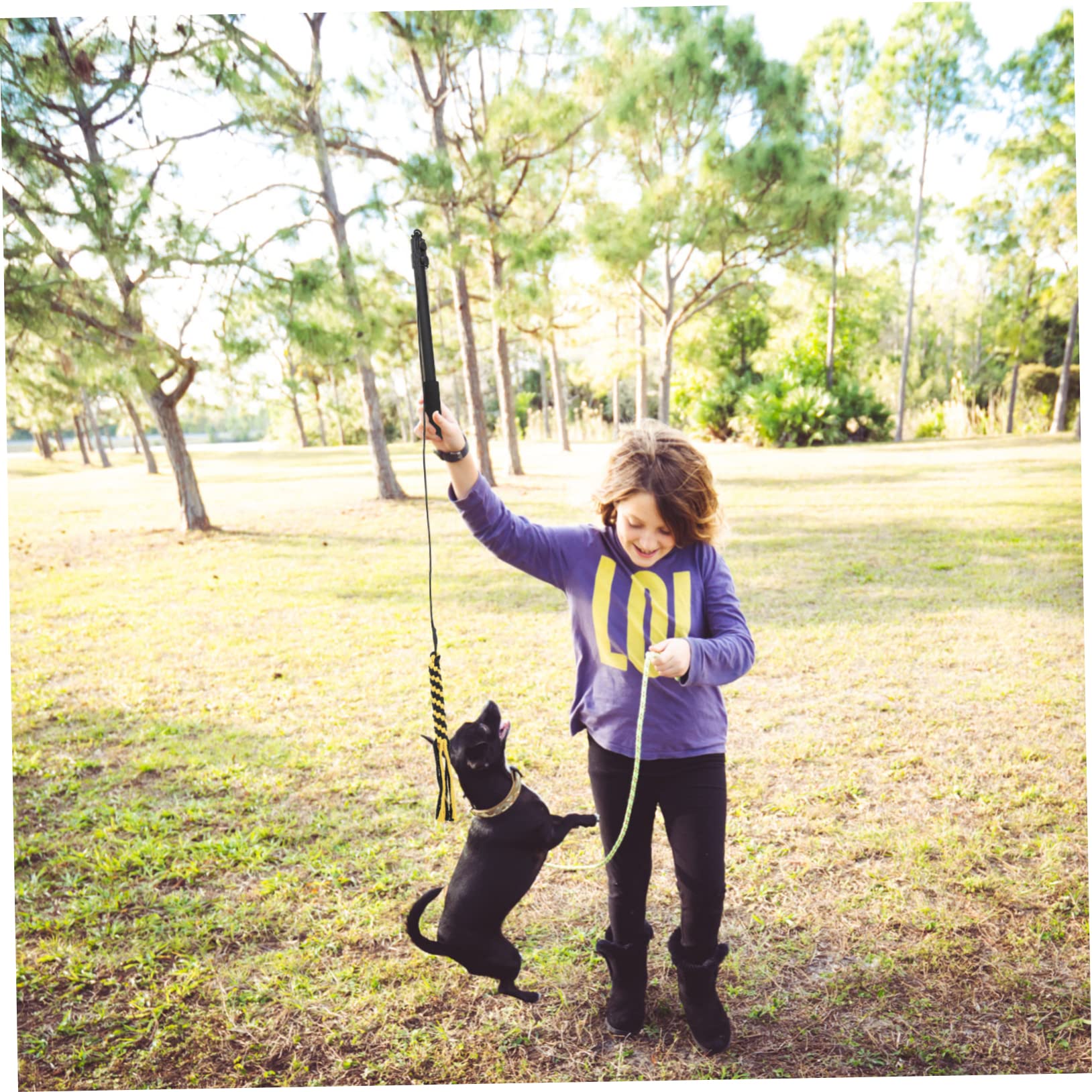 ERINGOGO 1set Telescopico Per Giochi Con Cani Per Addestramento e Divertimento Giocattolo Interattivo Per Cani e Cuccioli Design Leggero e Resistente Mantiene Tuo Animale e Felice