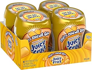 JUICY FRUIT Gum - Original Bubble Gum Bulk Pack, 40-Piece Bottle (4 Pack)