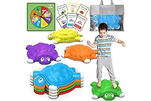 Turtle Stepping Stones | Kids Paving Prosperity's Path