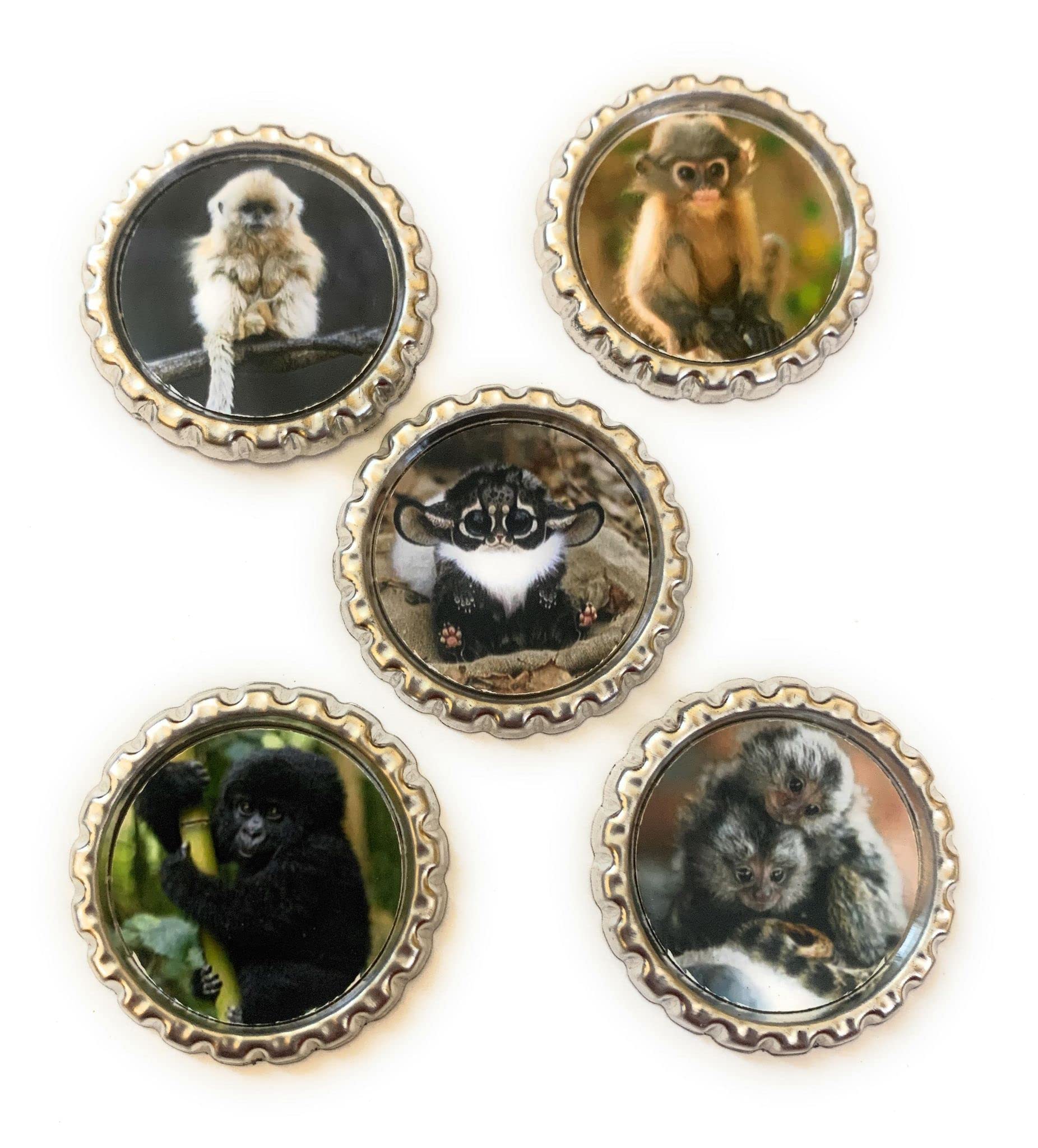 Monkey Magnets Set
