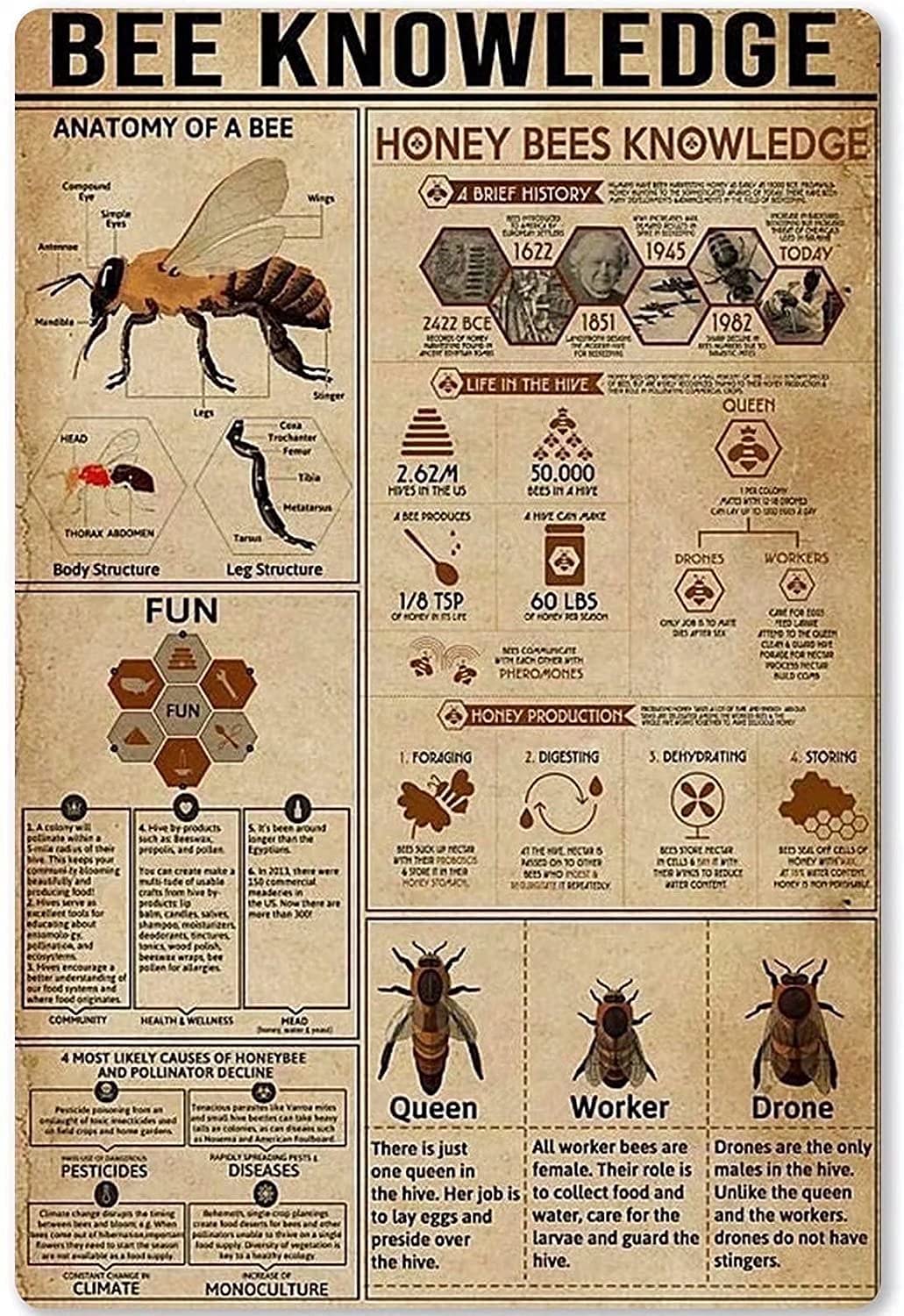 Bee Knowledge Metal Tin Sign Metal Signs, Fun Poster For Bar Kitchen Cafe Farmhouse Wall Decor 12x16 inch