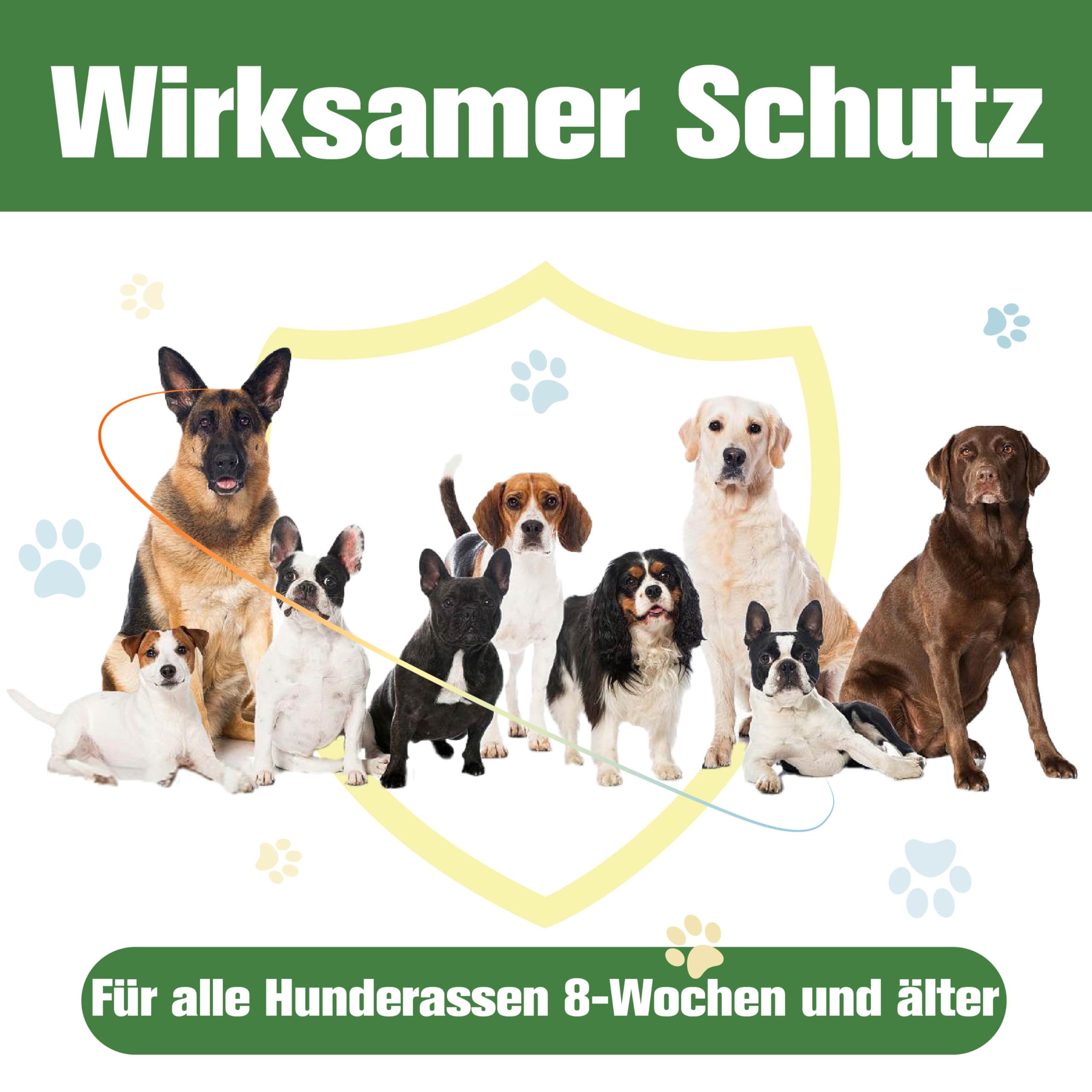 Zeckenschutz für Hunde 6 Pipetten, Spot On Hund, Zeckenmittel für Mittlerer Hunde 10 bis 20 kg, Hunde flohmittel entwurmungsmittel für Hunde, gegen Flöhe & Zecken