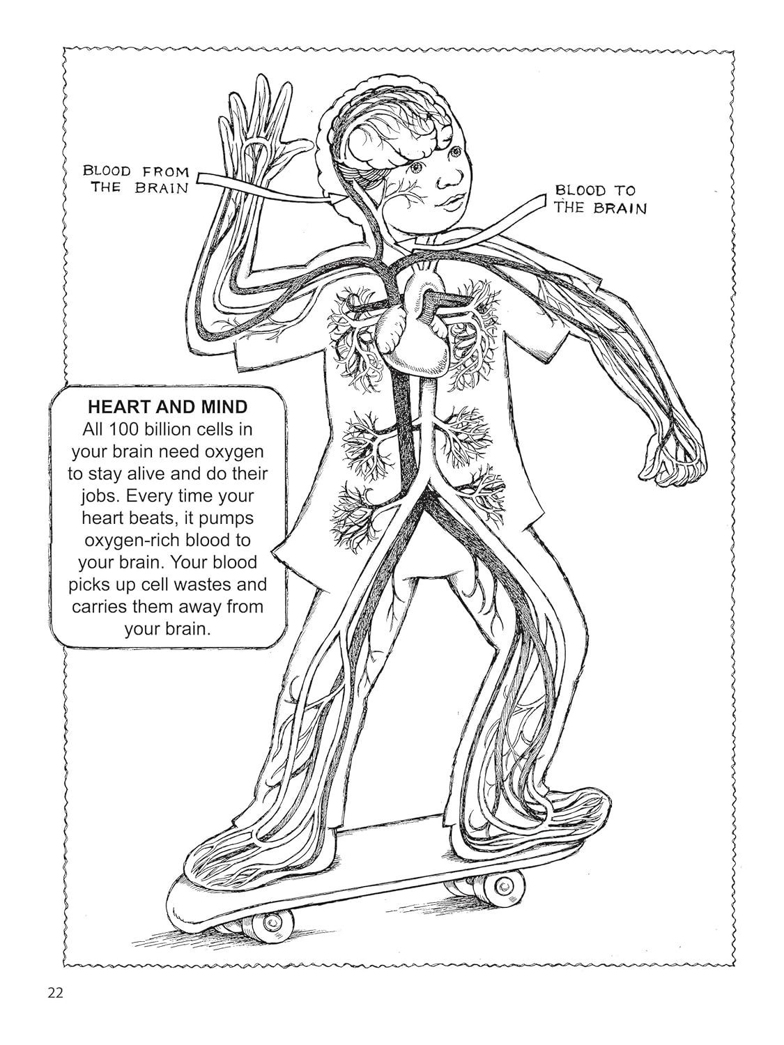 My First Book About the Brain (Dover Science For Kids Coloring Books) - Image 8