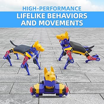 81dVRb9NznL._AC_UF350,