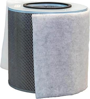 Austin Air Allergy Machine Replacement Filter, White Air Filters for Home, and Military Grade HEGA Carbon Cloth Replacement for Superior Air Quality, Model FR405