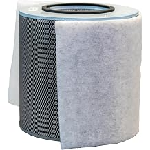 Austin Air Bedroom Machine 5 Stage Replacement Filter, White Zeolite with HEGA cloth, Air Filters for Home, and Carbon Filter Replacement for Superior Air Quality, Model FR402