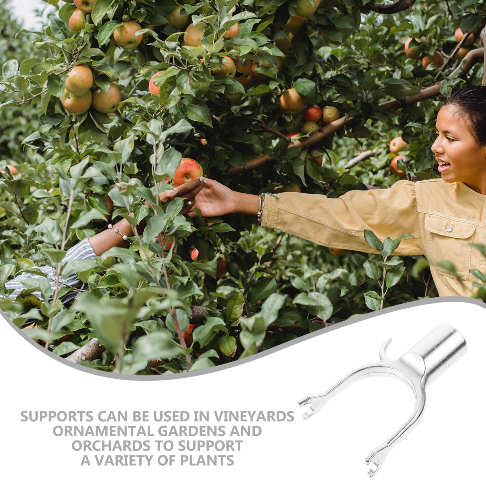 Abaodam 6pezzi Supporti per Rami Alberi da Frutto in Antiruggine Struttura Leggera e Resistente per Giardinaggio Tutori per Piante da Frutto Come Citrus e Susino Facili da Installare