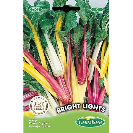 Germisem Mangold RAINBOW MIX