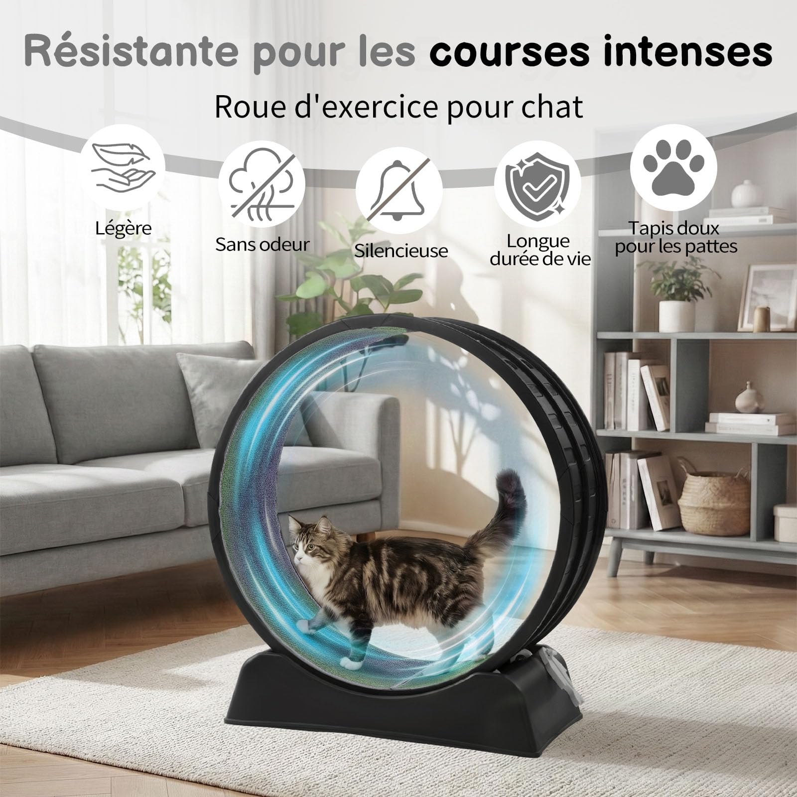 LEADZM Rueda de ejercicio para gato 80 cm - Rueda para gatos de hasta 15 kg - Conector de riel de plástico, resistente a los arañazos, estable y silencioso (Negro)