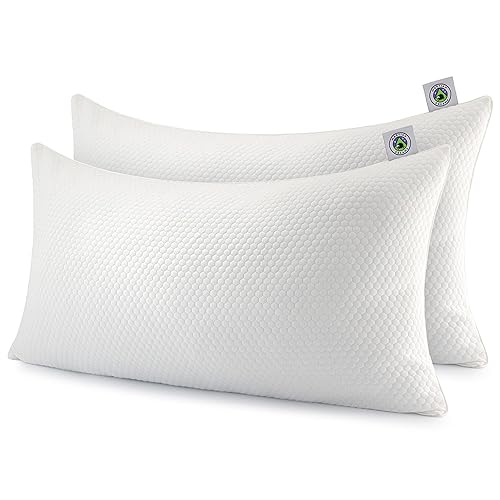 Martian Dreams Hybrid Pillow Microfiber & Shredded Memory Foam Fill | Medium to Firm, Hypoallergenic (Super King Size 50x90cm) 2 Pack | For Side Sleepers - Super King Size