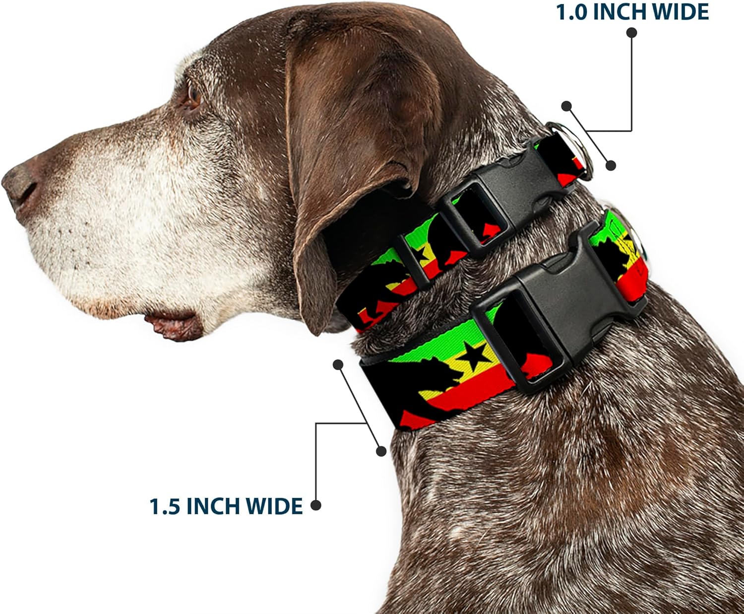 Buckle-Down Cali Bear/Star Silhouette Rasta/Black Plastic Clip Collar, 1.5" Wide-Fits 18-32" Neck-Large