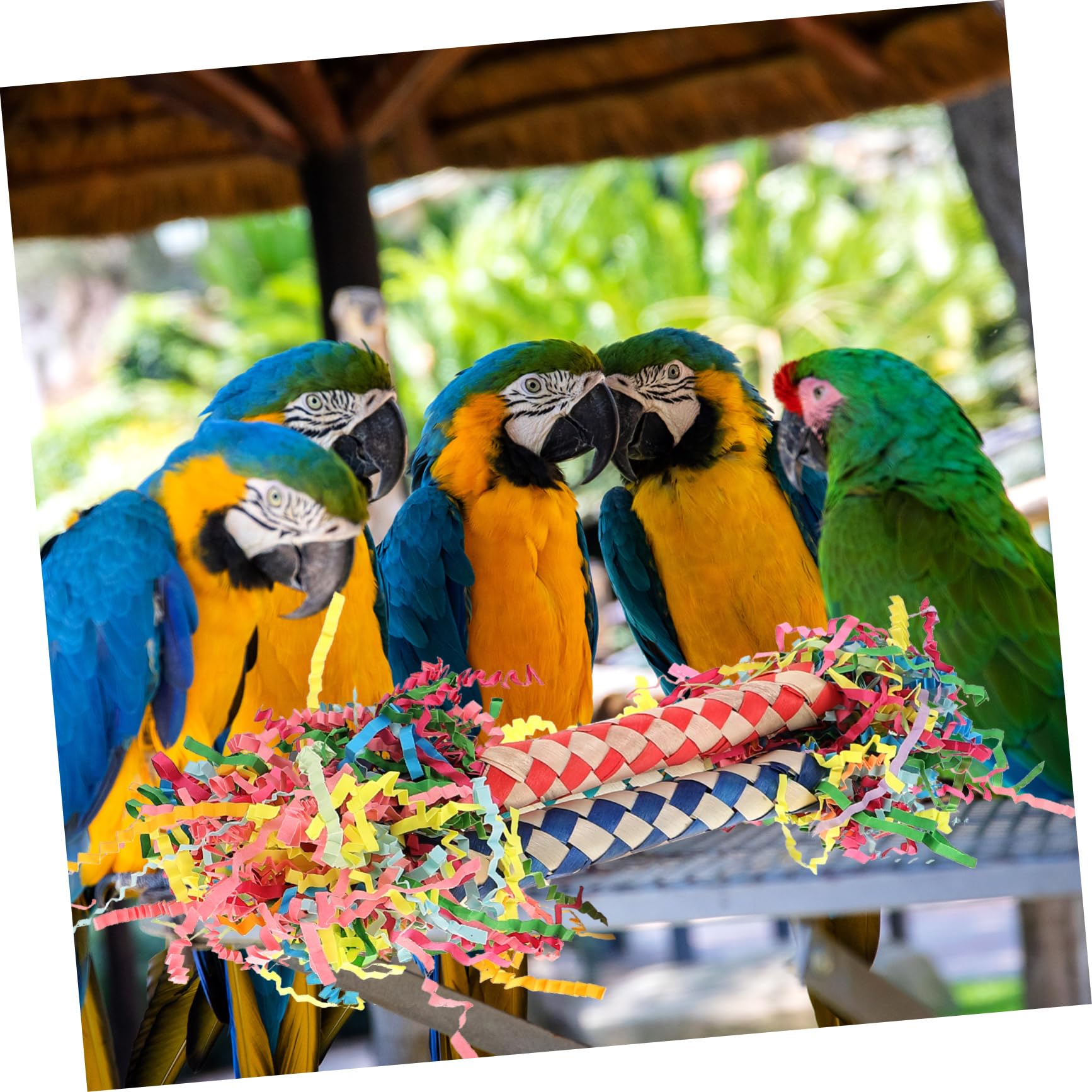 Abaodam 3pièces Jouet à Mordre pour Perroquet Jouet Suspendu pour Oiseaux pour Cage Résistant Aux Morsures Accessoires pour Cage à Perruche