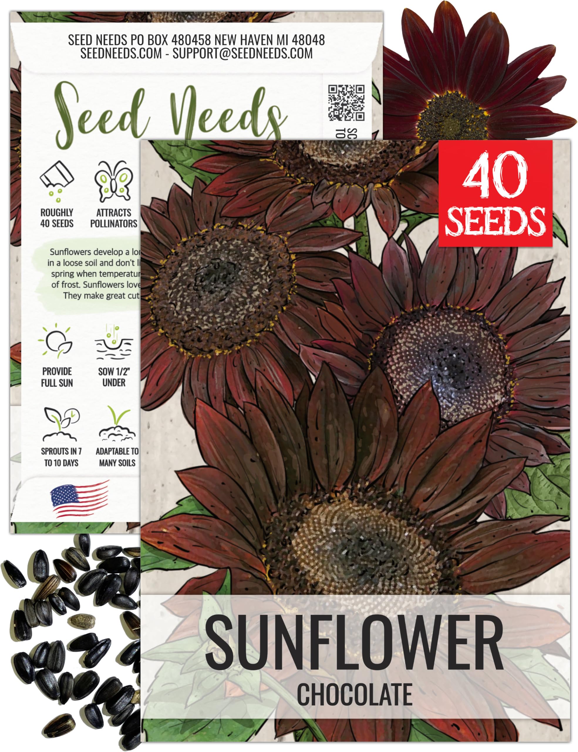Seed Needs Chocolate Sunflower Seeds for Planting Annual Flowers 1 Pack