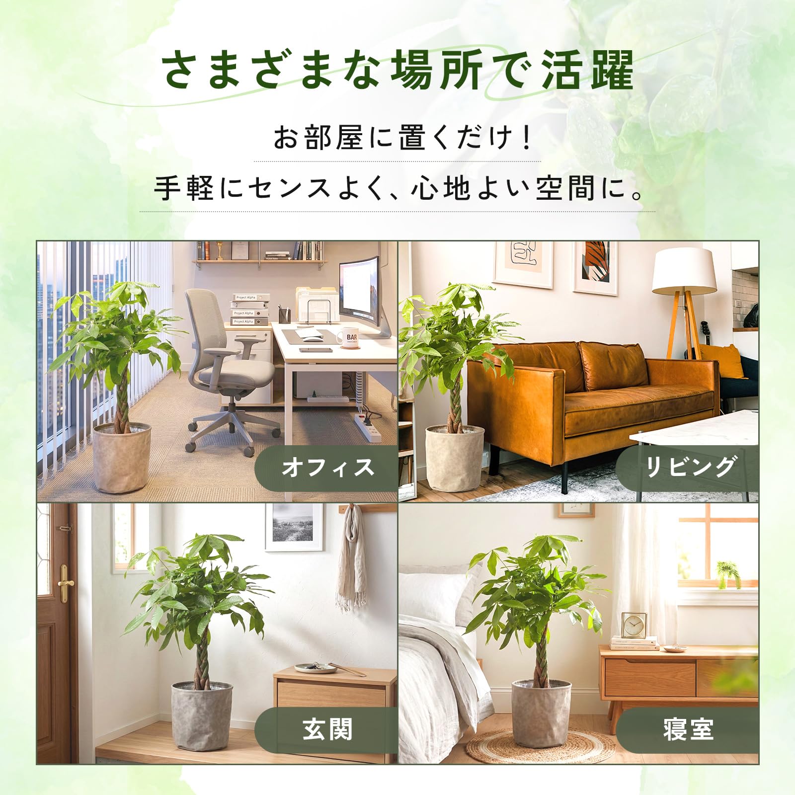 Amazon｜bloomee(ブルーミー) パキラ 観葉植物 (7号 木目カゴ 鉢カバー