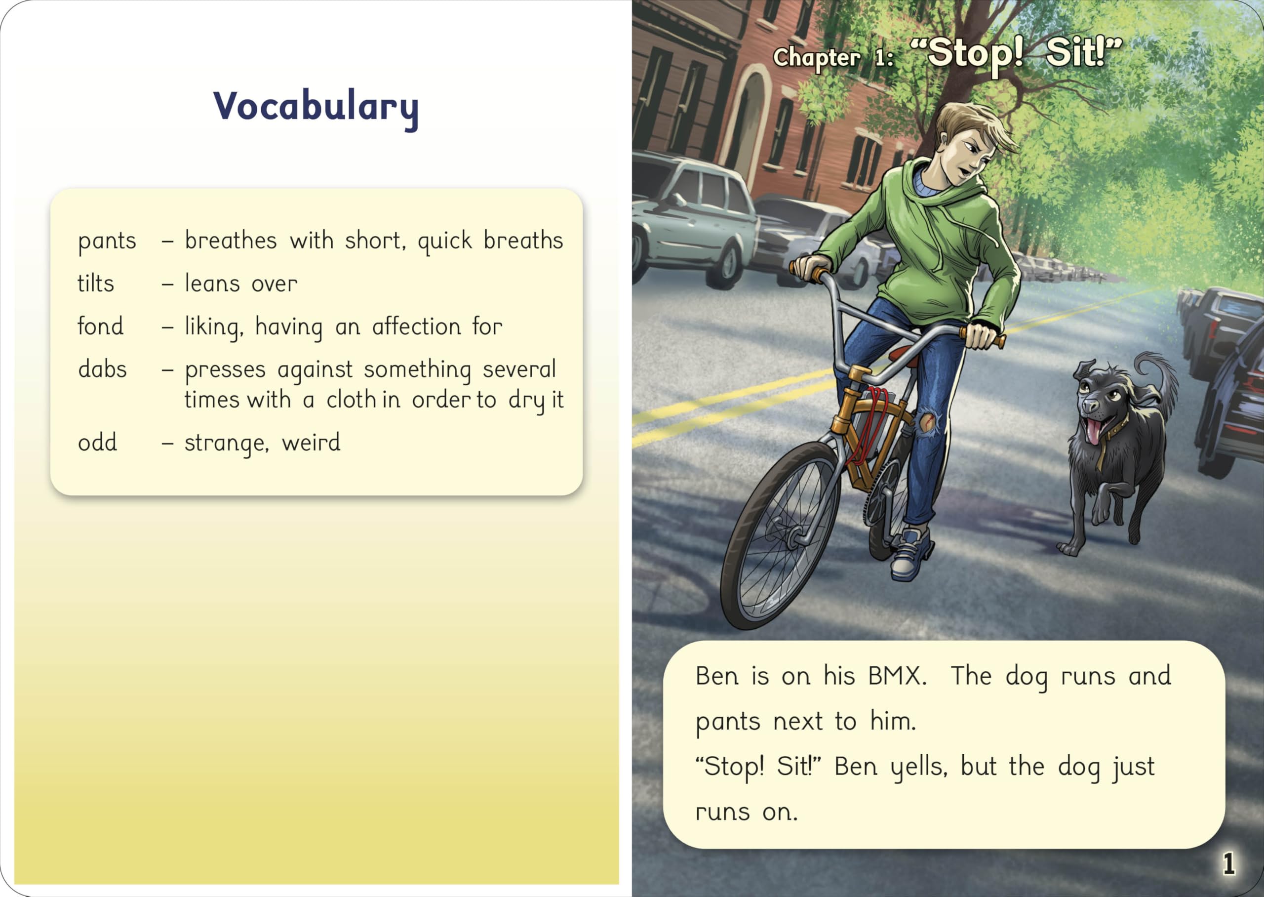 Phonic Books That Dog!: Decodable Books for Older Readers (CVC, Consonant Blends and Consonant Teams)