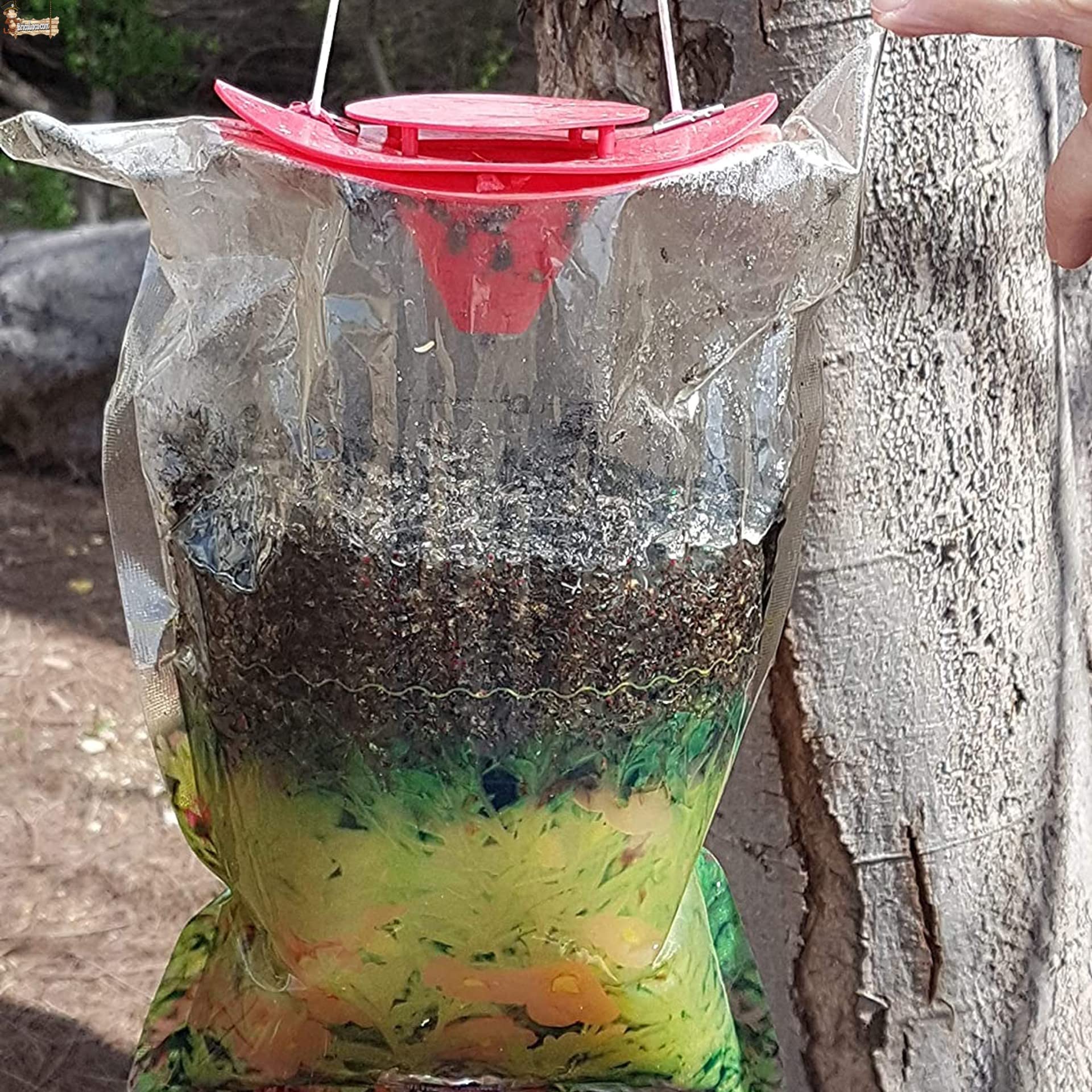 Bricoloco Trampa para Moscas con Cebo Potente atrayente sin Veneno. Anti Moscas Súper Efectivo atrapa hasta 50.000 Moscas. Fácil Uso. (6)